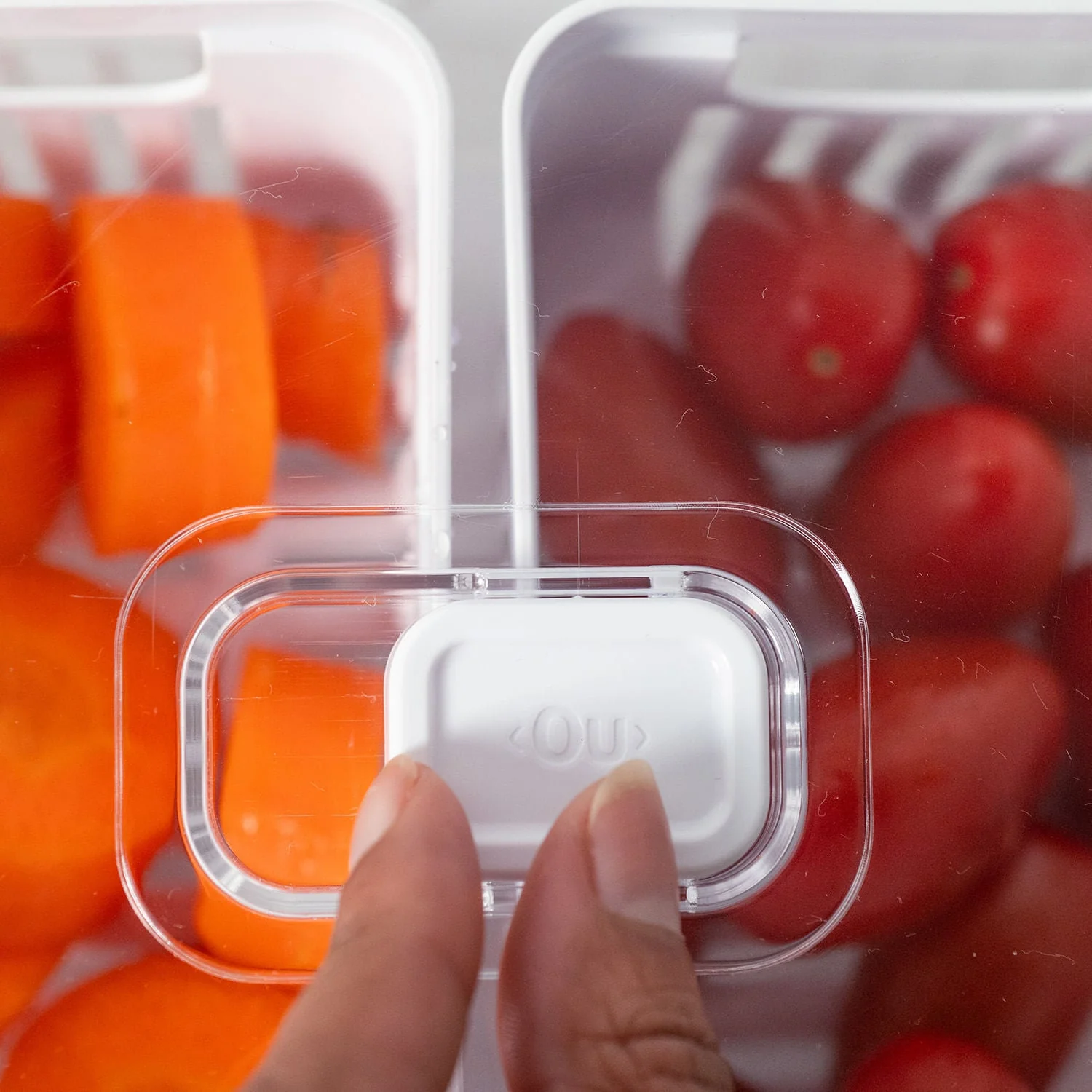 Organizador com cesto duplo Ou 2,2L Linha Clear Fresh