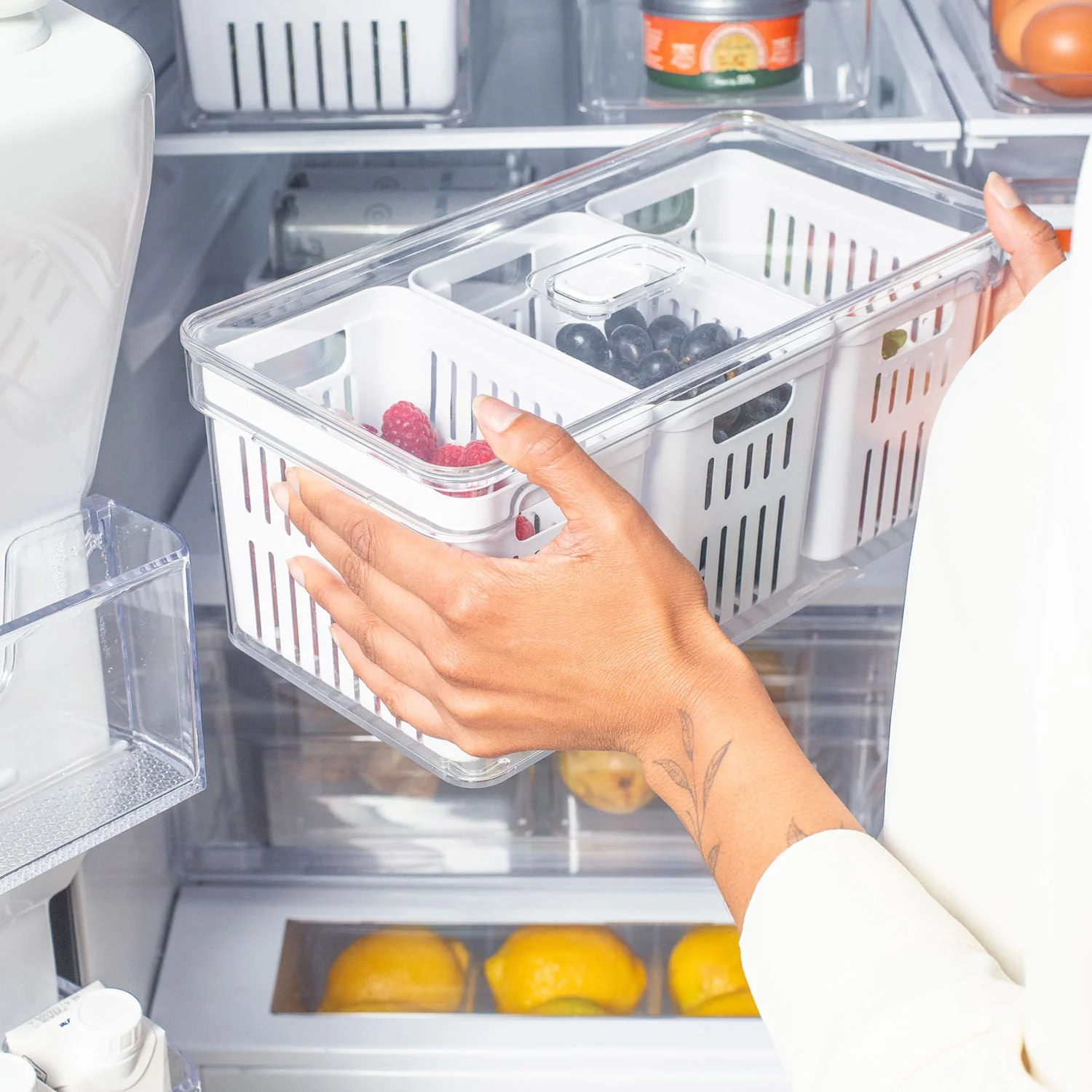 Organizador com cesto triplo Ou 5L Linha Clear Fresh