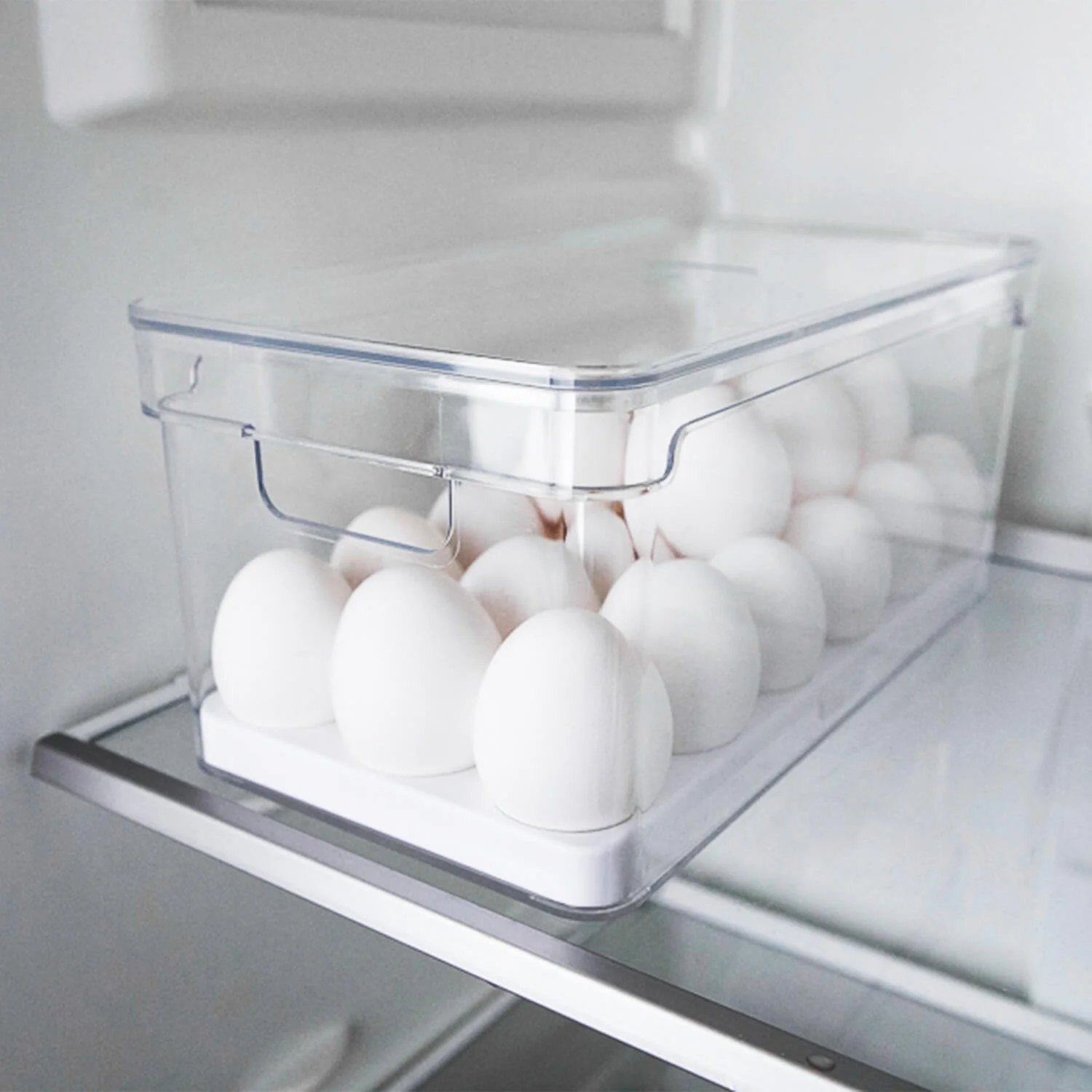 Organizador de Ovos com Tampa Ou 36 Ovos Linha Clear Fresh