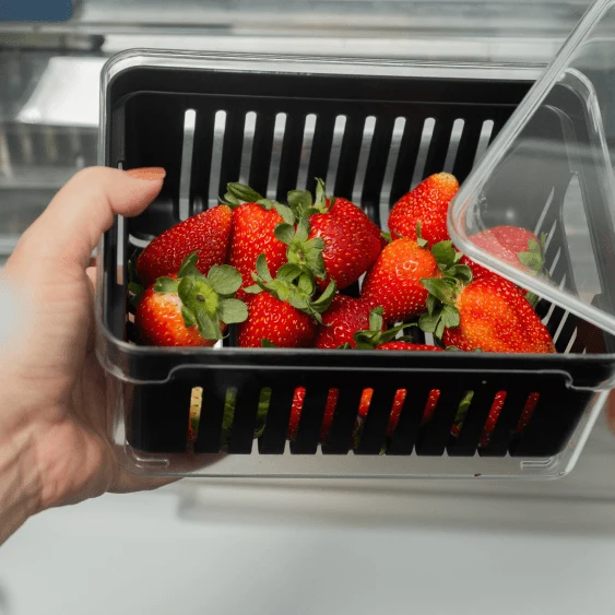 Organizador de geladeira com cesto Ou 2,2L Linha Clear Fresh