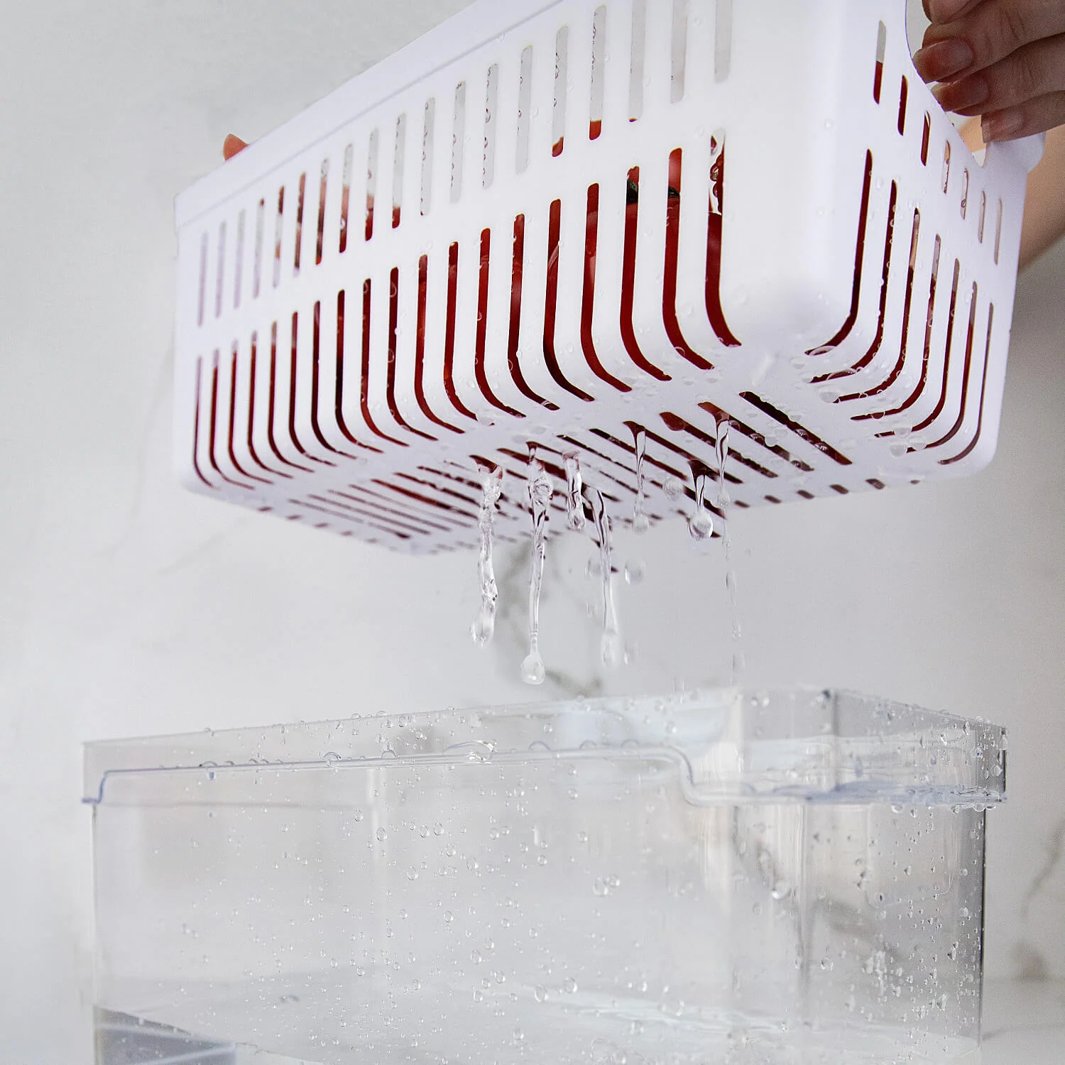 Organizador de geladeira com cesto Ou 5L Linha Clear Fresh