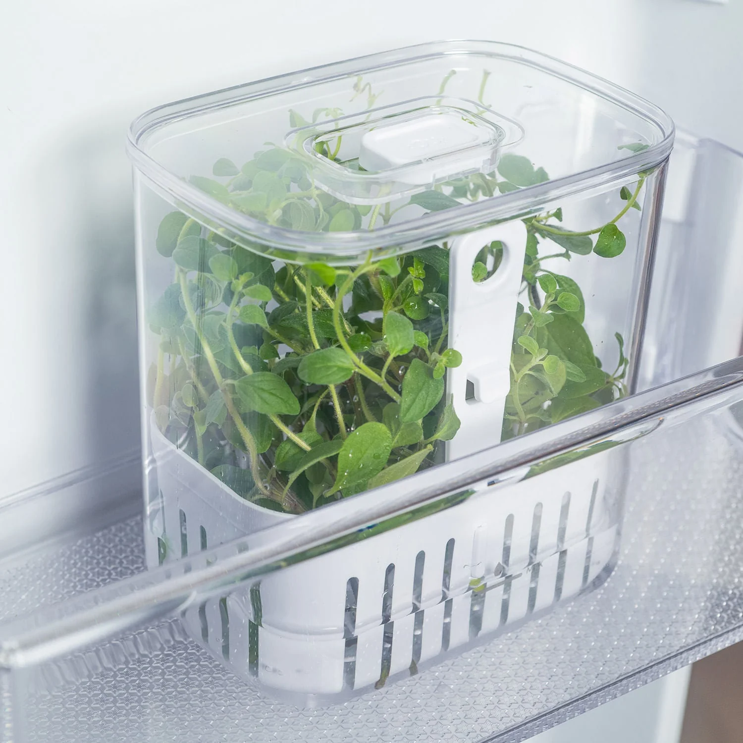 Organizador de temperos Ou 1,5L Linha Clear Fresh