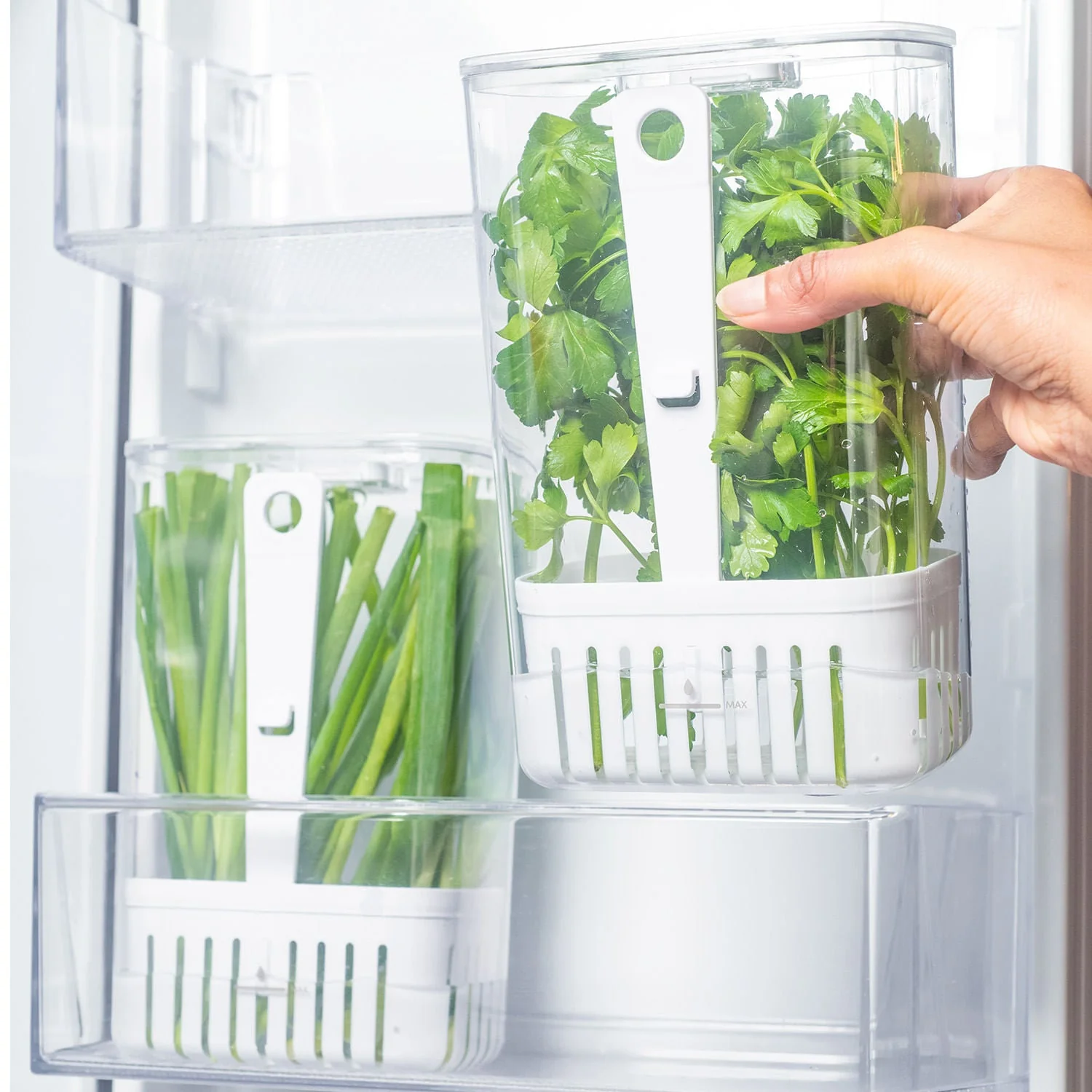 Organizador de temperos Ou 2,3L Linha Clear Fresh