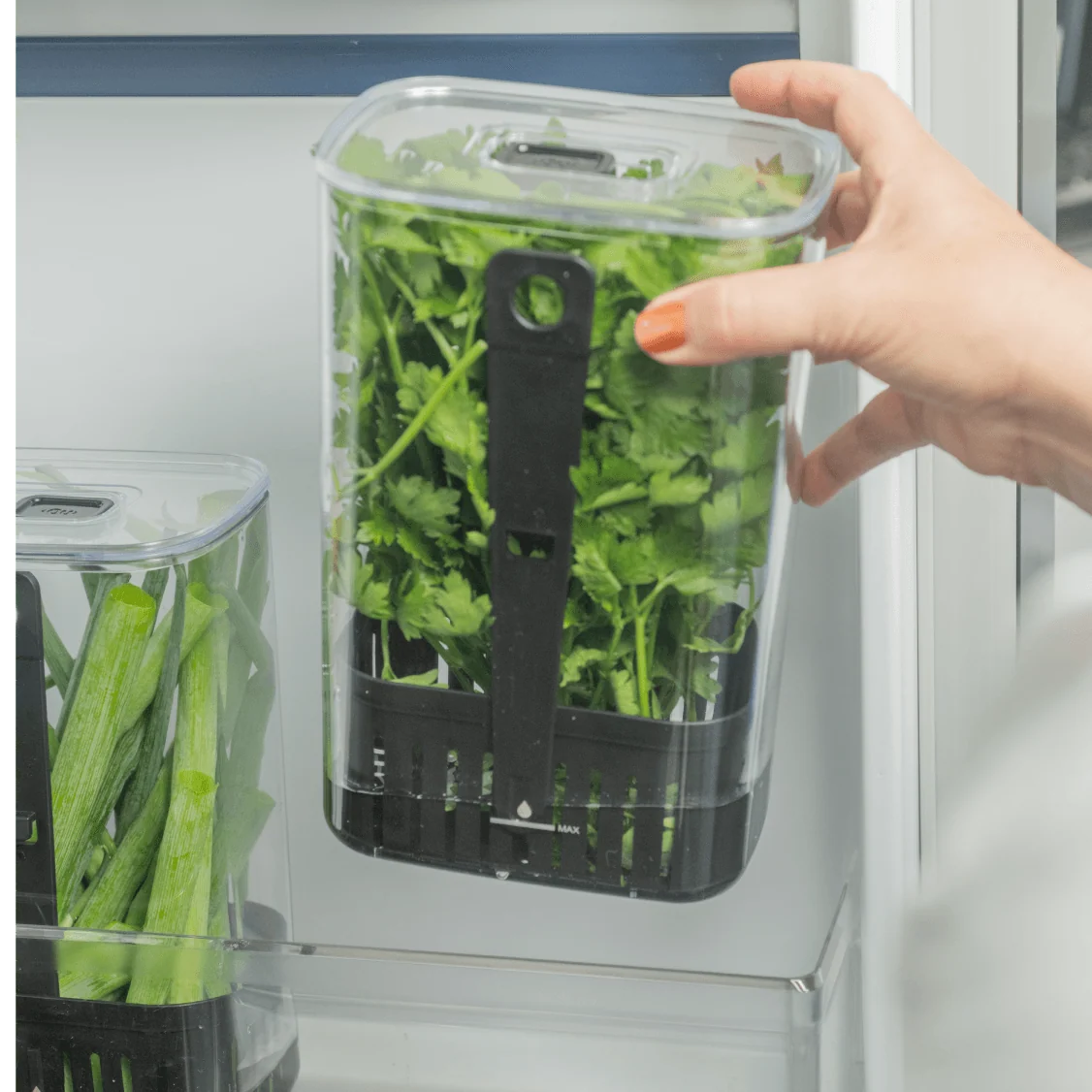 Organizador de temperos Ou 2,3L Linha Clear Fresh