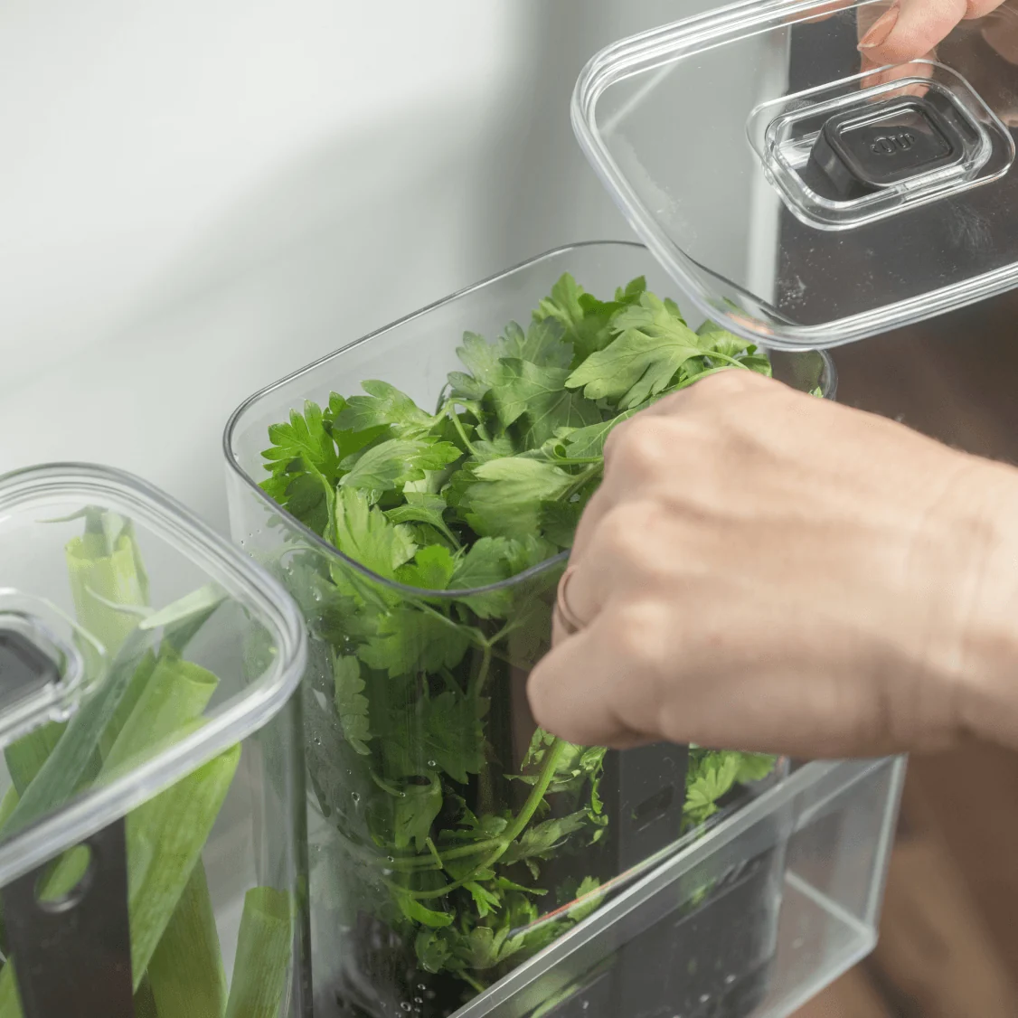 Organizador de temperos Ou 2,3L Linha Clear Fresh